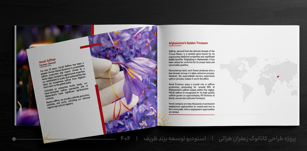 طراحی حرفه ای کاتالوگ در مشهد