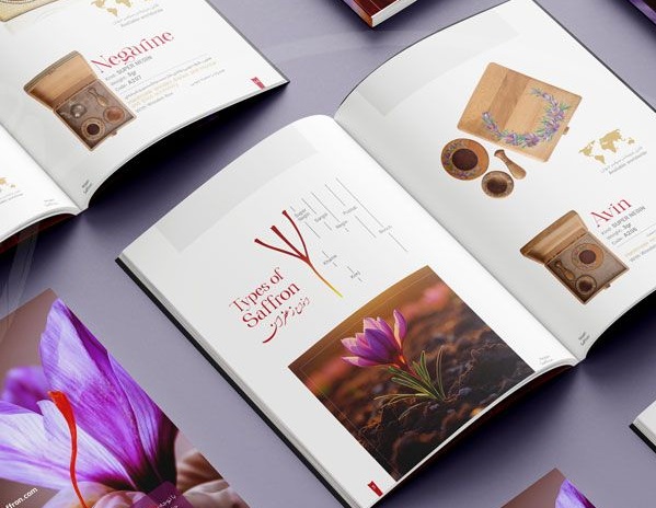 طراحی و توسعه برند با ظریف گرافیک